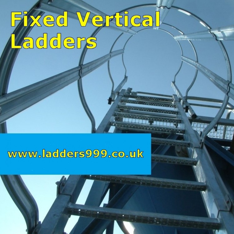 Fixed Vertical Ladders