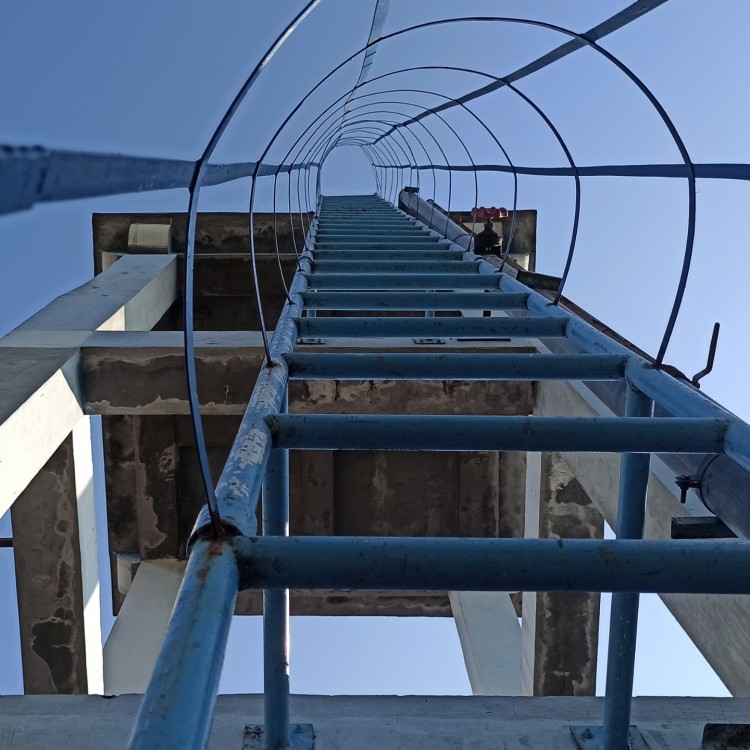 Fixed Vertical Ladders