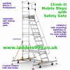 Climb-It Mobile Steps with Safety Gate CAW512