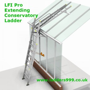 LFI Pro Extending Conservatory Ladder