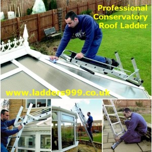 Professional CONSERVATORY Roof Ladder