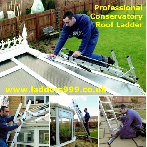 Professional CONSERVATORY Roof Ladder