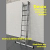 DMAX Professional Ladders with Retractable Stabiliser Bar