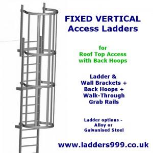 Fixed Ladders for Roof Access or Internal Platforms