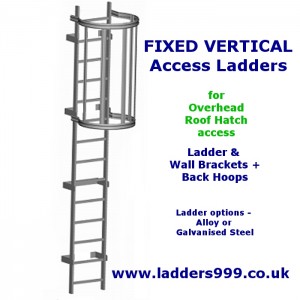 FIXED Vertical Ladders - Ladder with Hoops for ROOF HATCH ACCESS