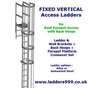 FIXED Vertical Ladders - Ladder with Hoops for ROOF PARAPET ACCESS