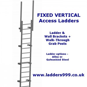 FIXED Vertical Access Ladders - Ladder & Walkthrough Posts