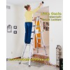 LITTLE GENIE Telescopic Combi Ladders