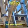 Roof Truss Safety Ladder