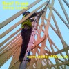 Roof Truss Safety Ladder