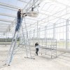 Skymaser X Combination Ladders