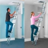 DOMESTIC Alloy Loft Ladders