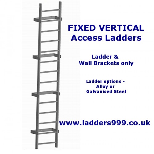 FIXED Vertical Access Ladders - Ladder Only