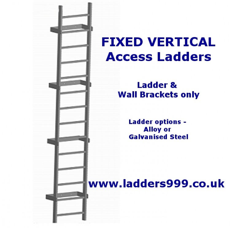 Vertical FIXED LADDERS LadderOnly by Ladders999