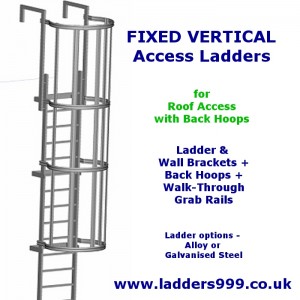 Fixed Ladders for Roof Access or Internal Platforms