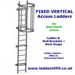 FIXED Vertical Ladders - Ladder with Hoops for ROOF HATCH ACCESS