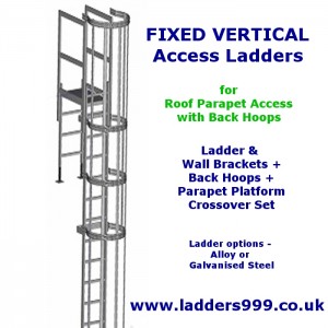 FIXED Vertical Ladders - Ladder with Hoops for ROOF PARAPET ACCESS