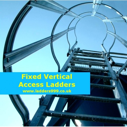 Fixed Vertical Access Ladders